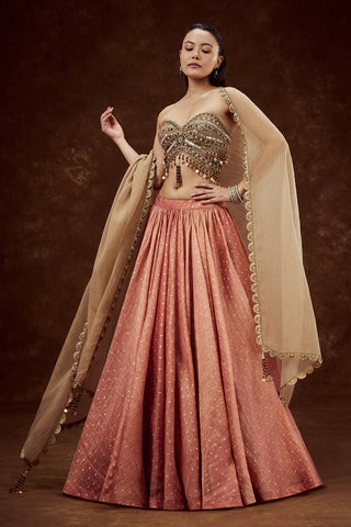 Peach Tissue Lehenga with Mirror and Tassel Work