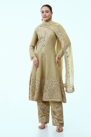 Pista Green Tissue Anarkali Suit with Mirror Work
