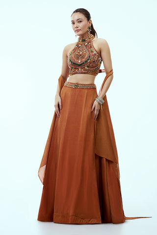 Rust Tissue Lehenga with Rhinestone Embellishments