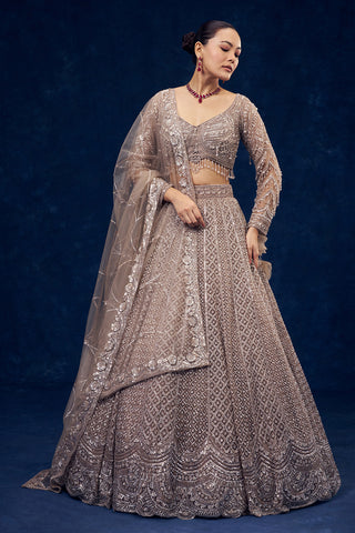 Taupe Grey Hand Embroidered Net Lehenga with Sequin Work