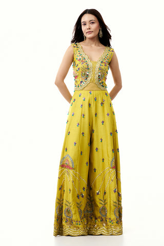 Yellow Raw Silk Jumpsuit with Colourful 3D Work